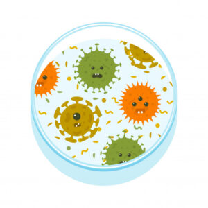 Máy rửa chén bát giúp diệt khuẩn, nấm mốc